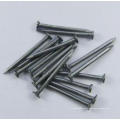 ISO-zertifizierte Common Round Nails